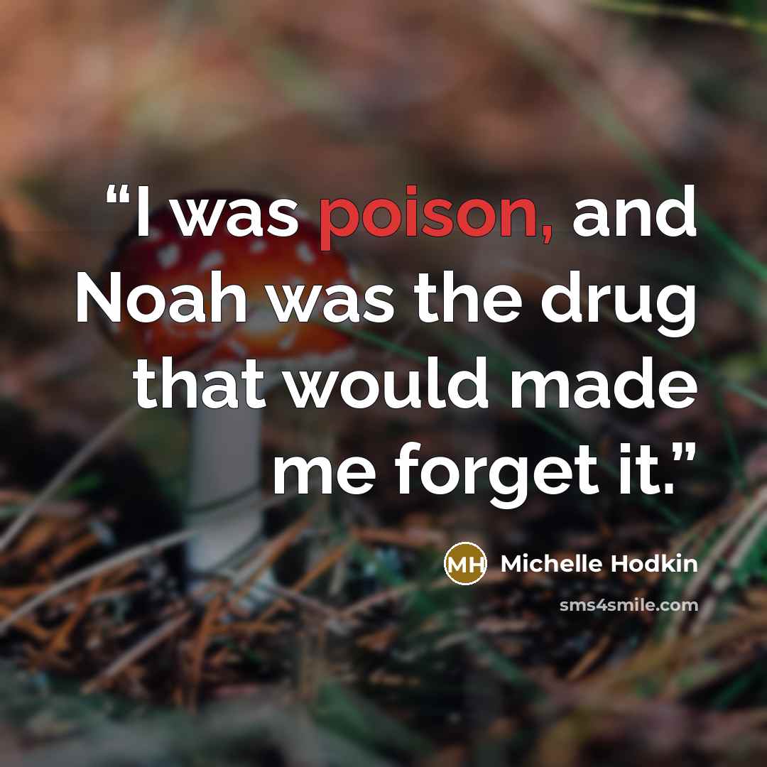 “I was poison, and Noah was the drug that would made me forget it.” quote by Michelle Hodkin