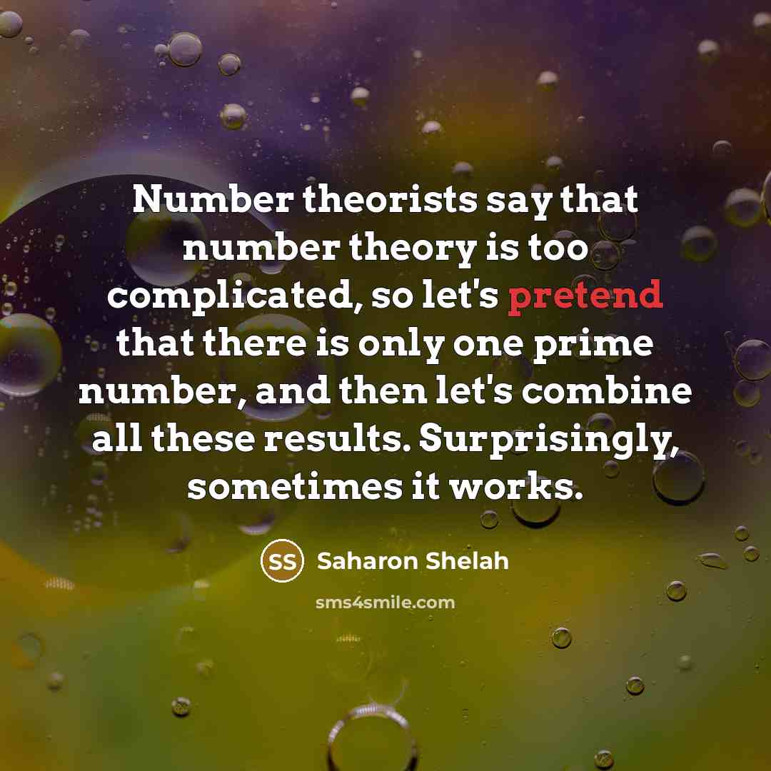 “Number theorists say that number theory is too complicated, so…” quote by Saharon Shelah