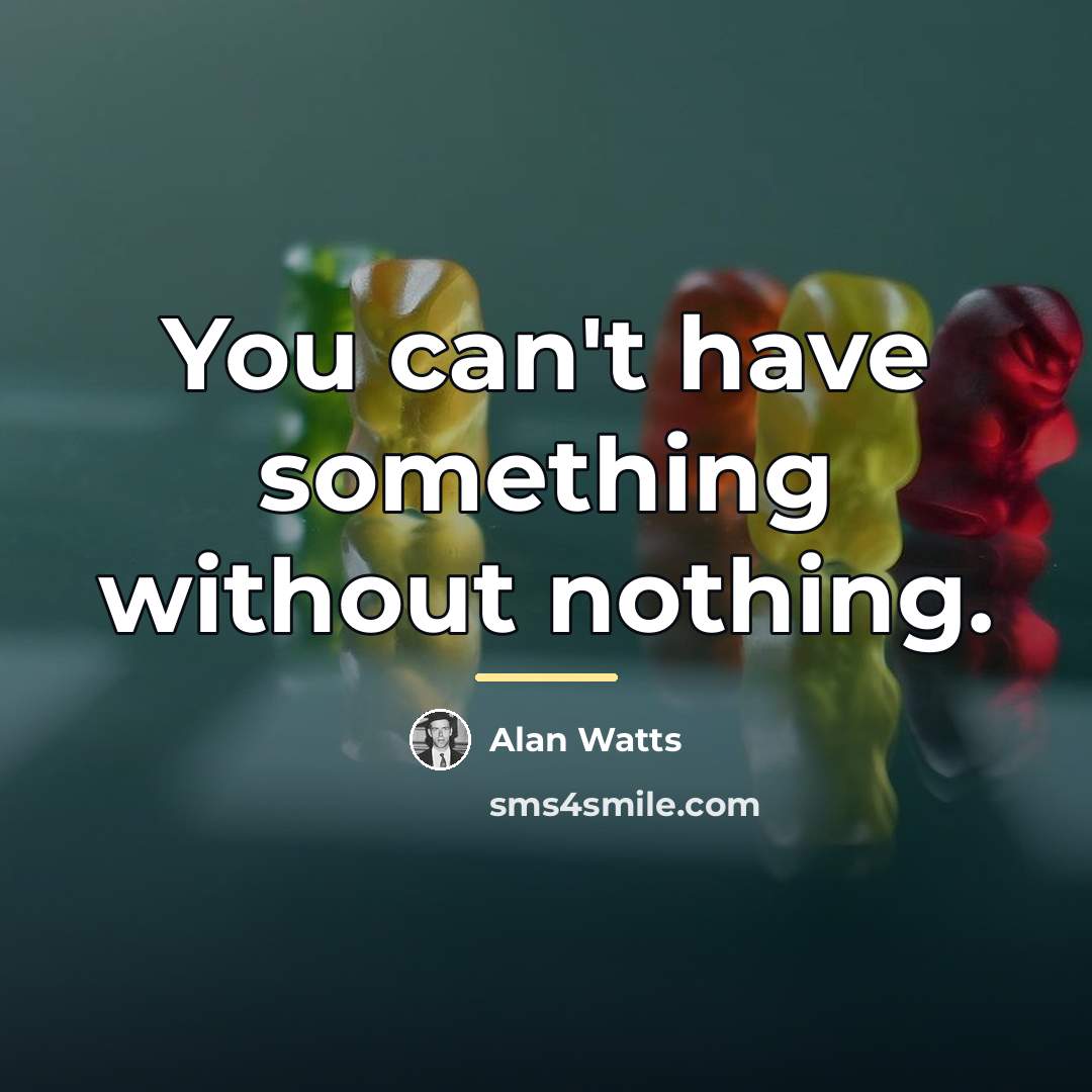 “You can't have something without nothing.…” quote by Alan Watts