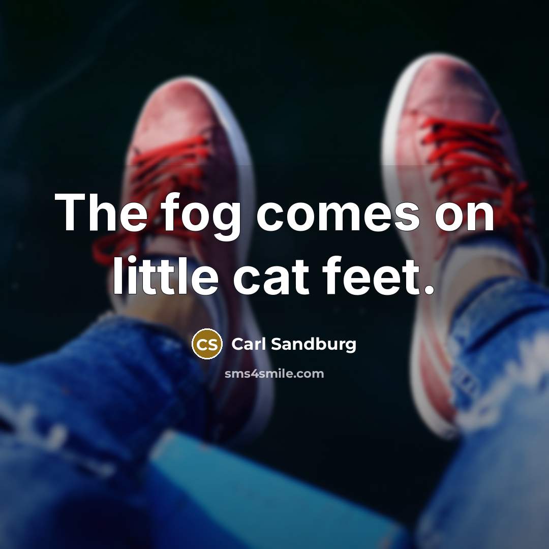 “The fog comes on little cat feet.…” quote by Carl Sandburg