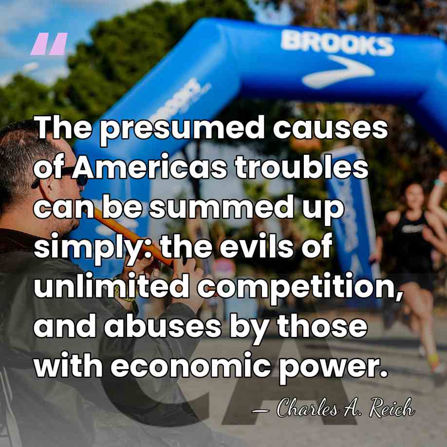 The presumed causes of Americas troubles can be summed up simply: the&hellip; - Charles A. Reich