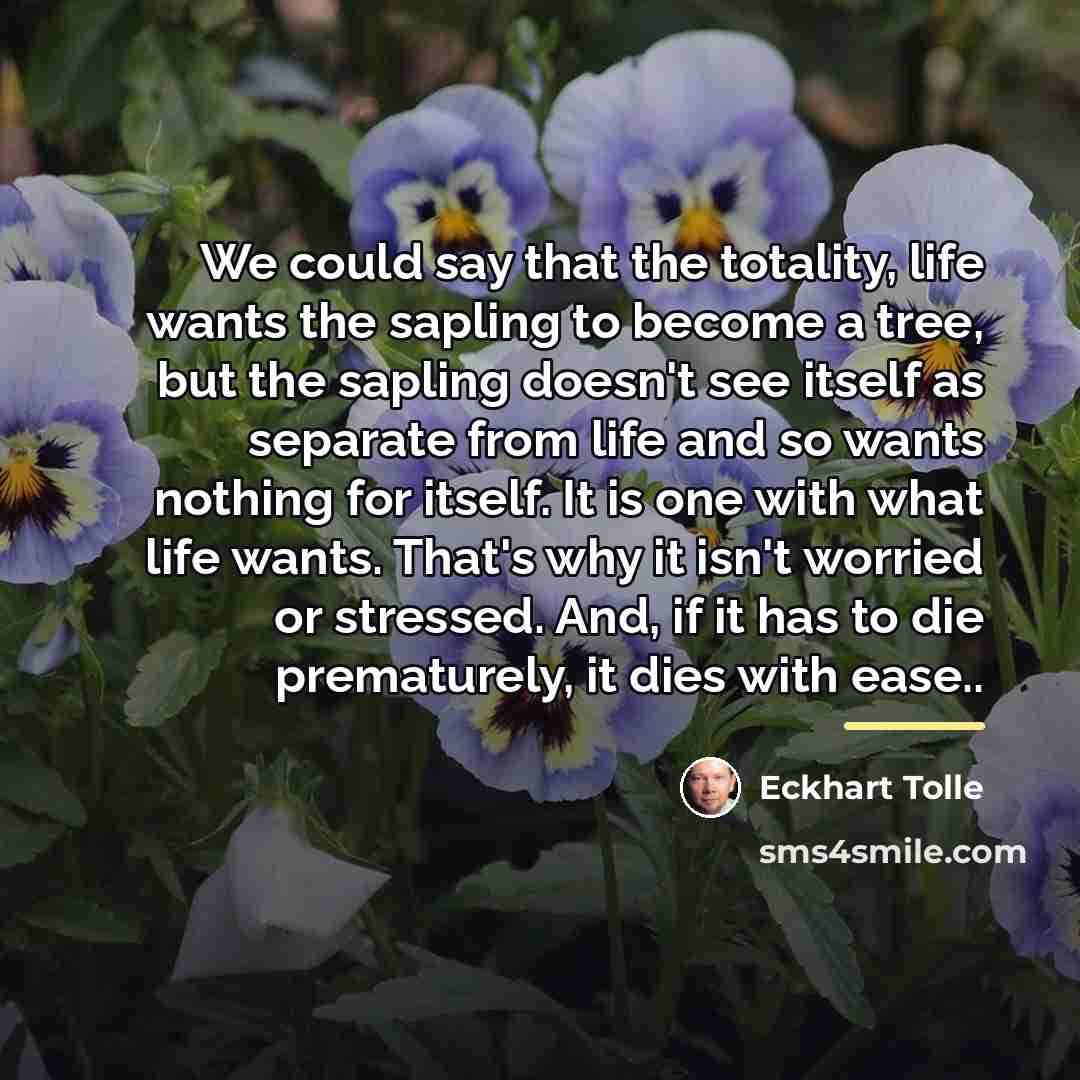 “We could say that the totality, life wants the sapling…” quote by Eckhart Tolle