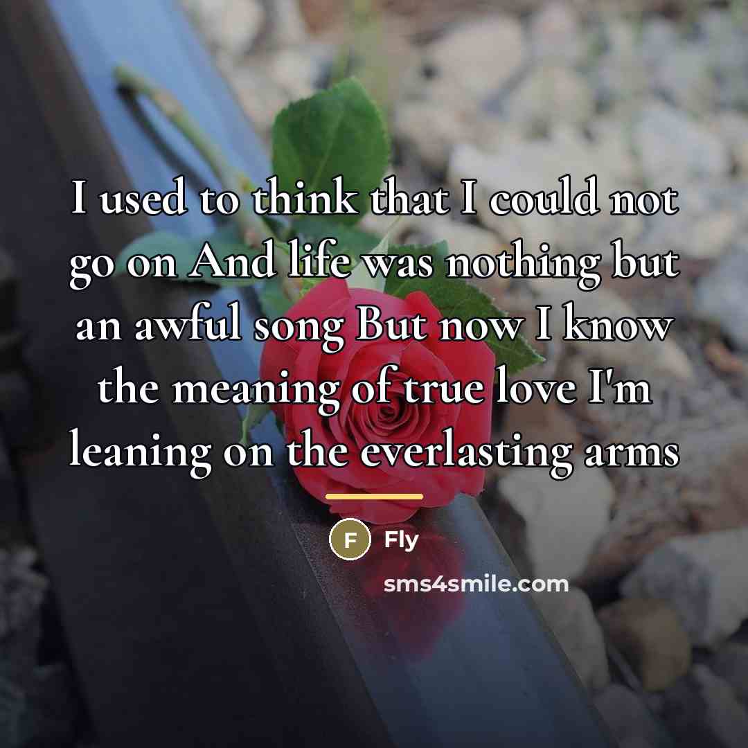 “I used to think that I could not go on…” quote by Fly