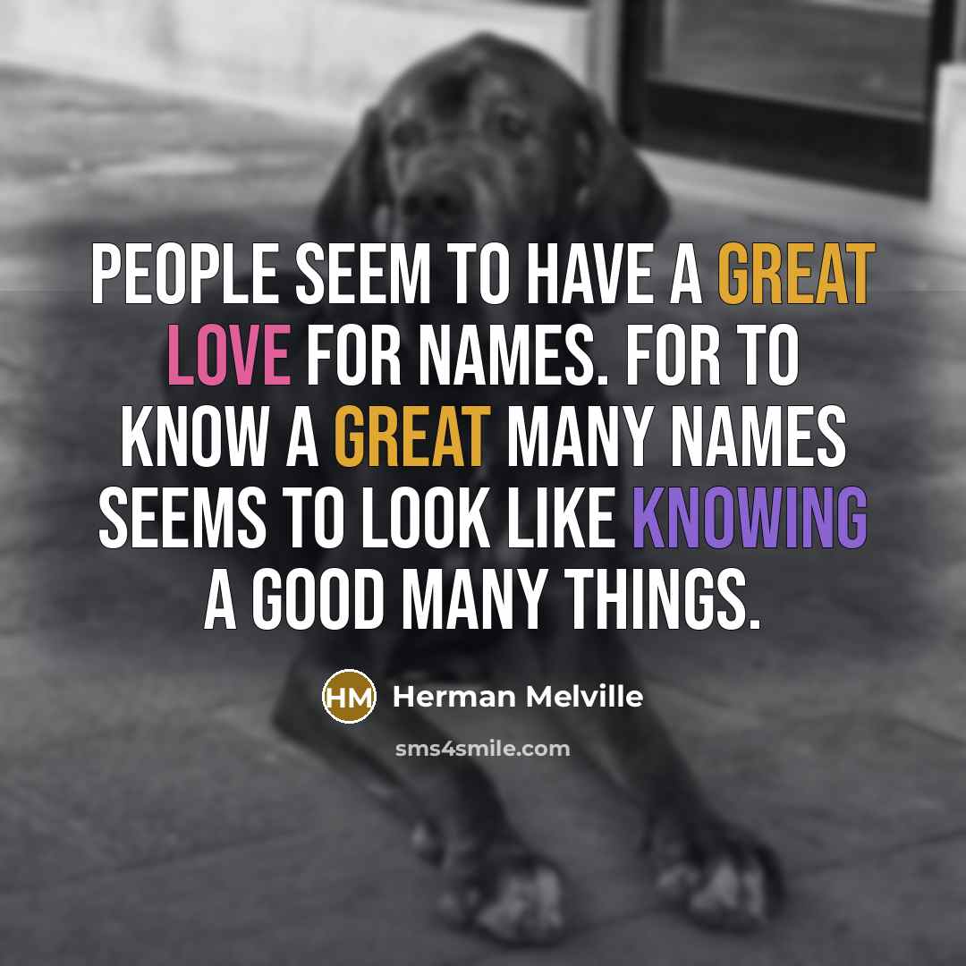 “People seem to have a great love for names. For…” quote by Herman Melville