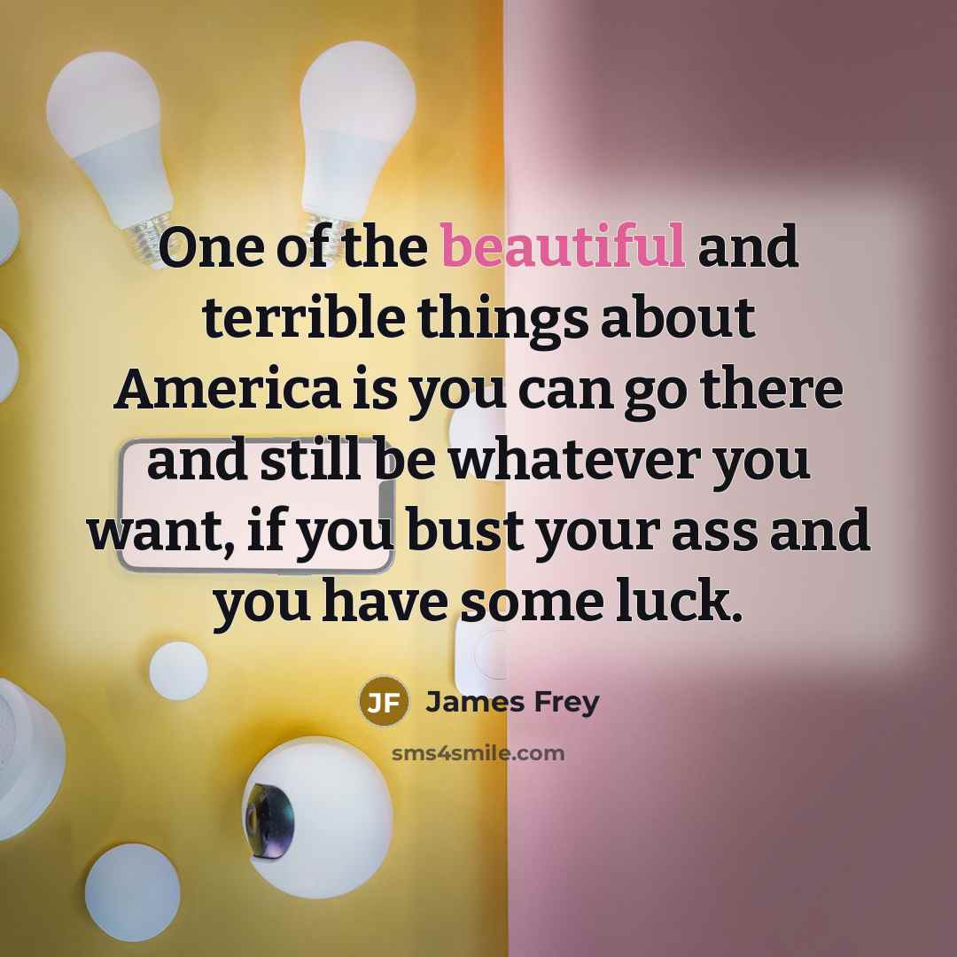 “One of the beautiful and terrible things about America is…” quote by James Frey