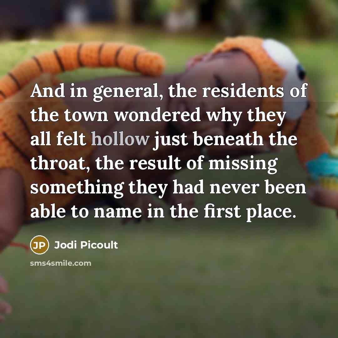 “And in general, the residents of the town wondered why…” quote by Jodi Picoult