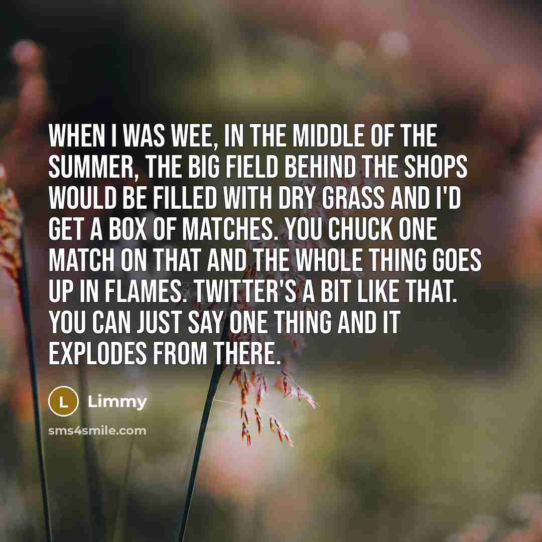 “When I was wee, in the middle of the summer,…” quote by Limmy