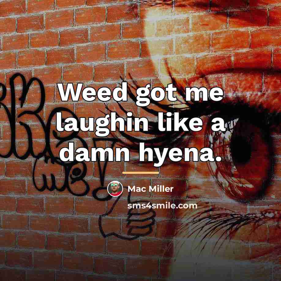 “Weed got me laughin like a damn hyena.…” quote by Mac Miller