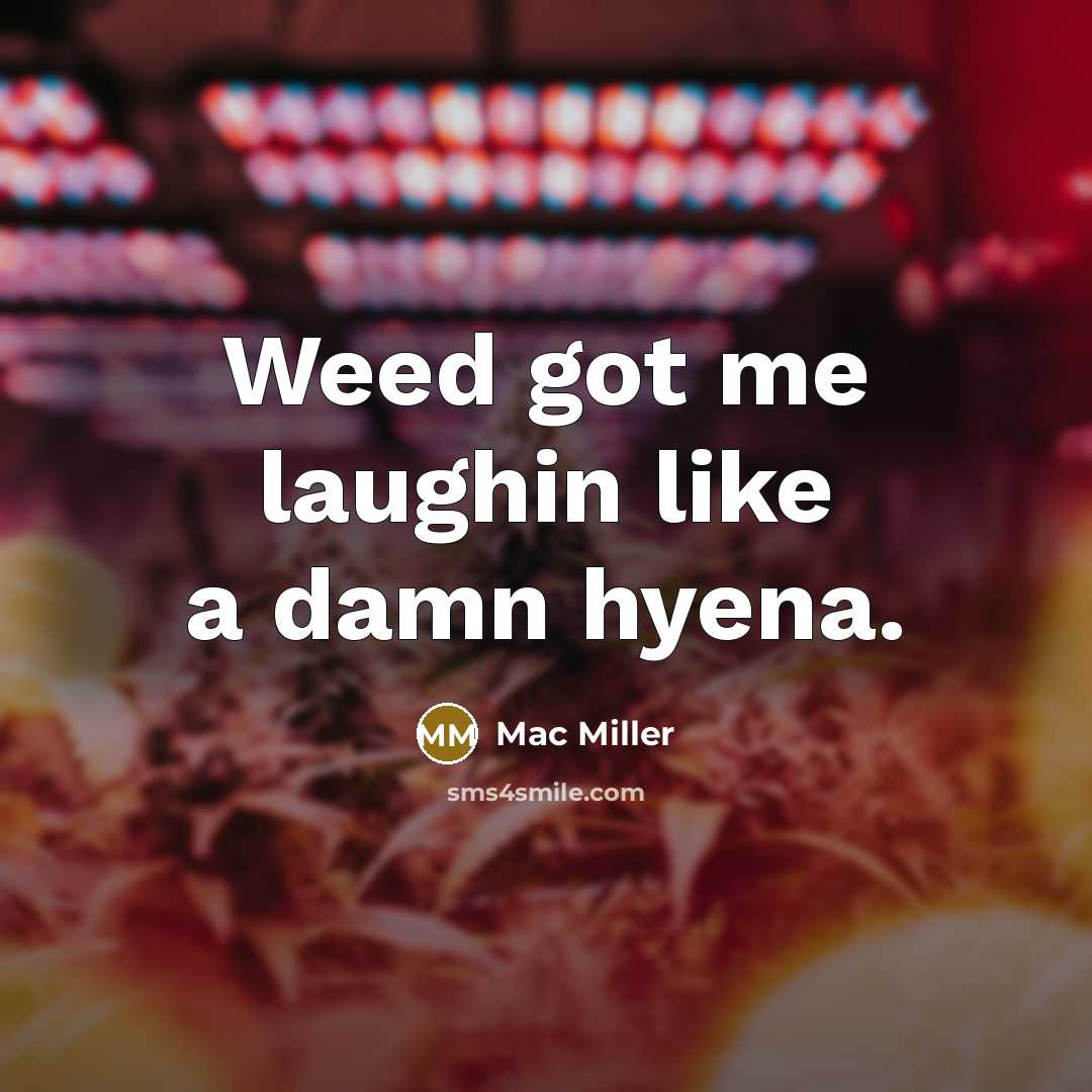 “Weed got me laughin like a damn hyena.” quote by Mac Miller