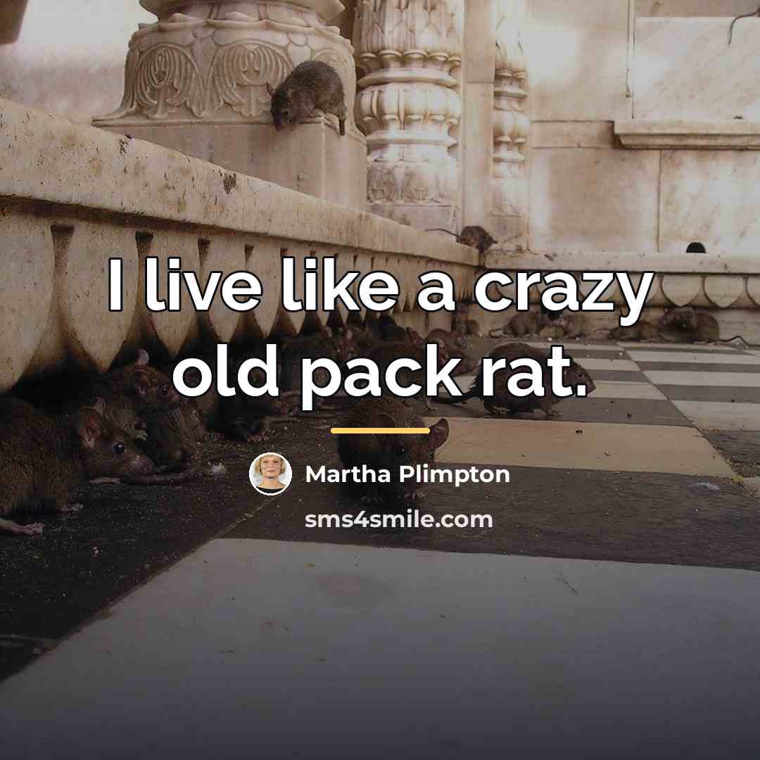“I live like a crazy old pack rat.…” quote by Martha Plimpton