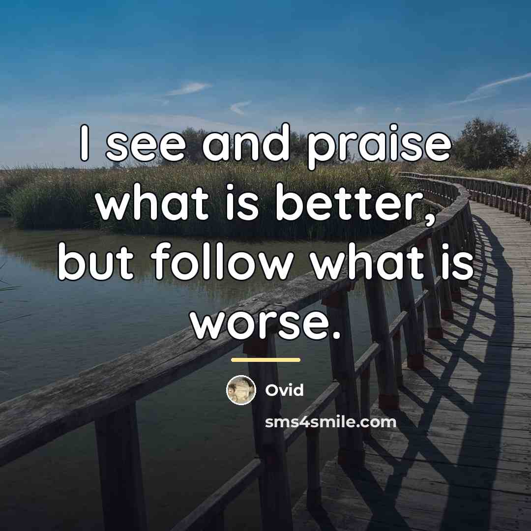 “I see and praise what is better, but follow what…” quote by Ovid