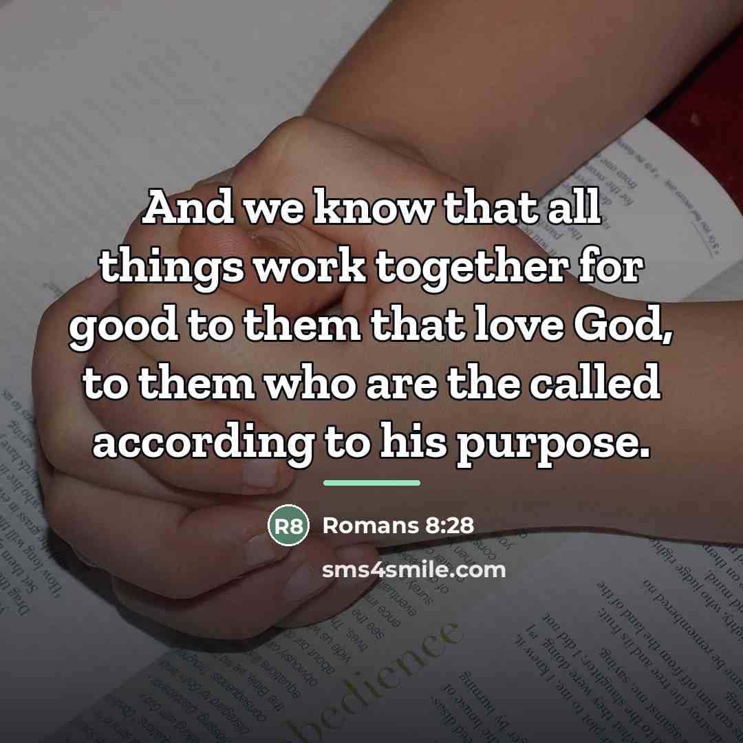 “And we know that all things work together for good…” quote by Romans 8:28
