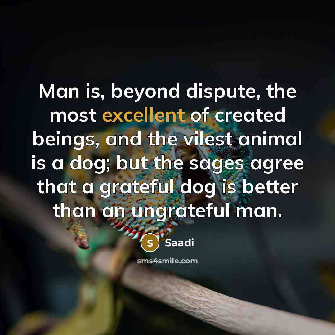 “Man is, beyond dispute, the most excellent of created beings,…” quote by Saadi