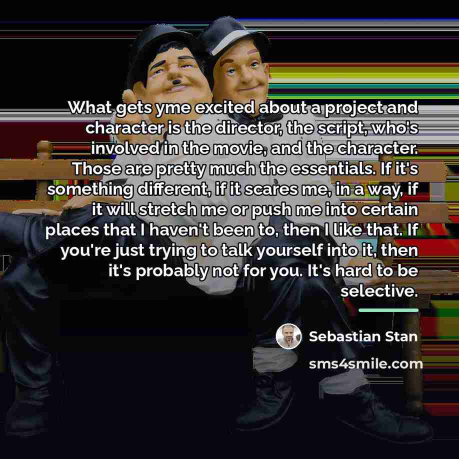“What gets yme excited about a project and character is…” quote by Sebastian Stan