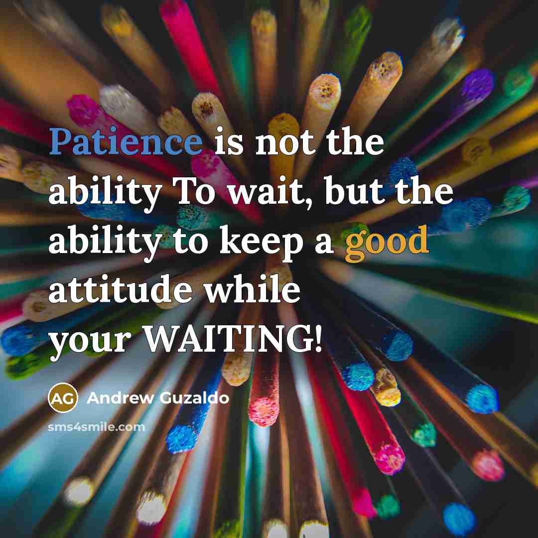 “Patience is not the ability To wait, but the ability…” quote by Andrew Guzaldo