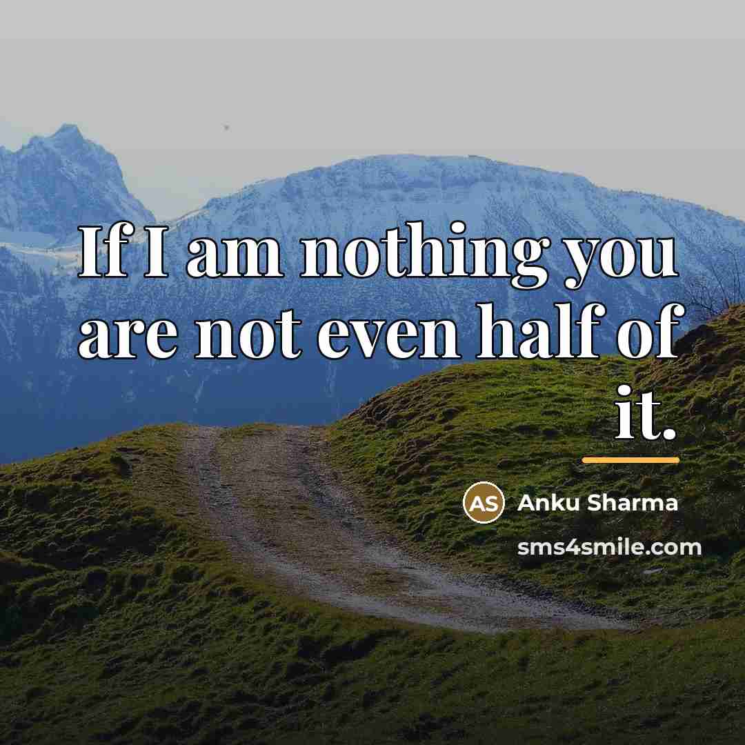 “If I am nothing you are not even half of…” quote by Anonymous