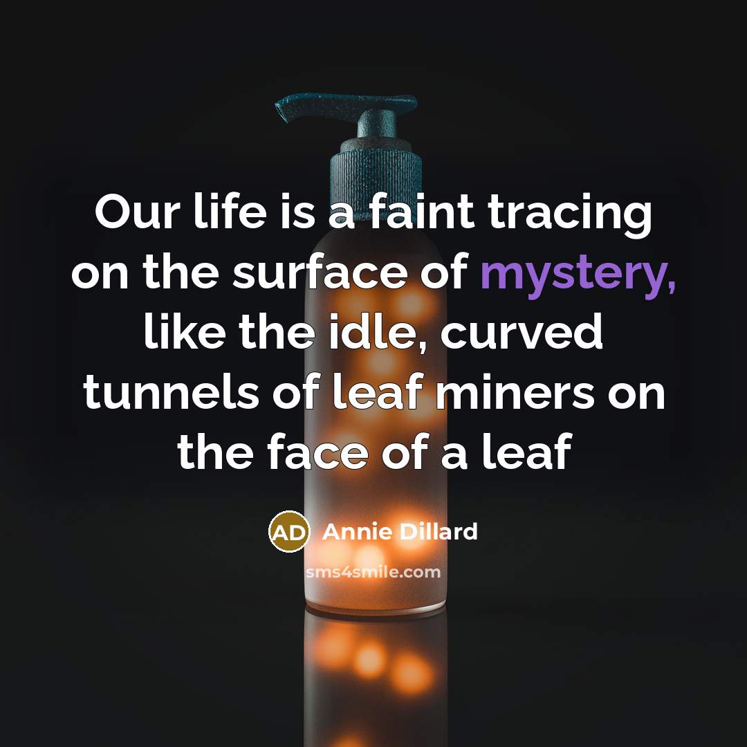 “Our life is a faint tracing on the surface of…” quote by Annie Dillard