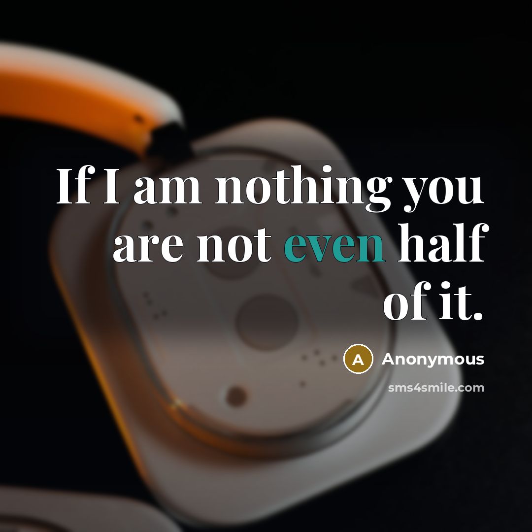 “If I am nothing you are not even half of it.” quote by Anonymous