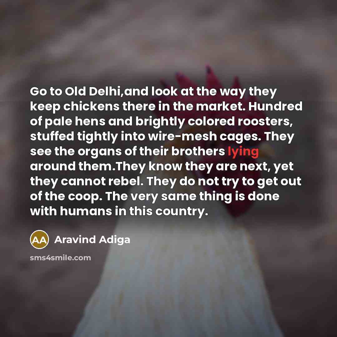 “Go to Old Delhi,and look at the way they keep…” quote by Aravind Adiga