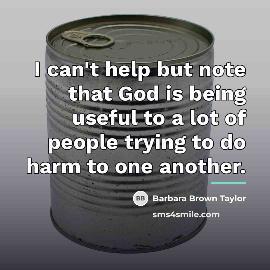 “I can't help but note that God is being useful…” quote by Barbara Brown Taylor