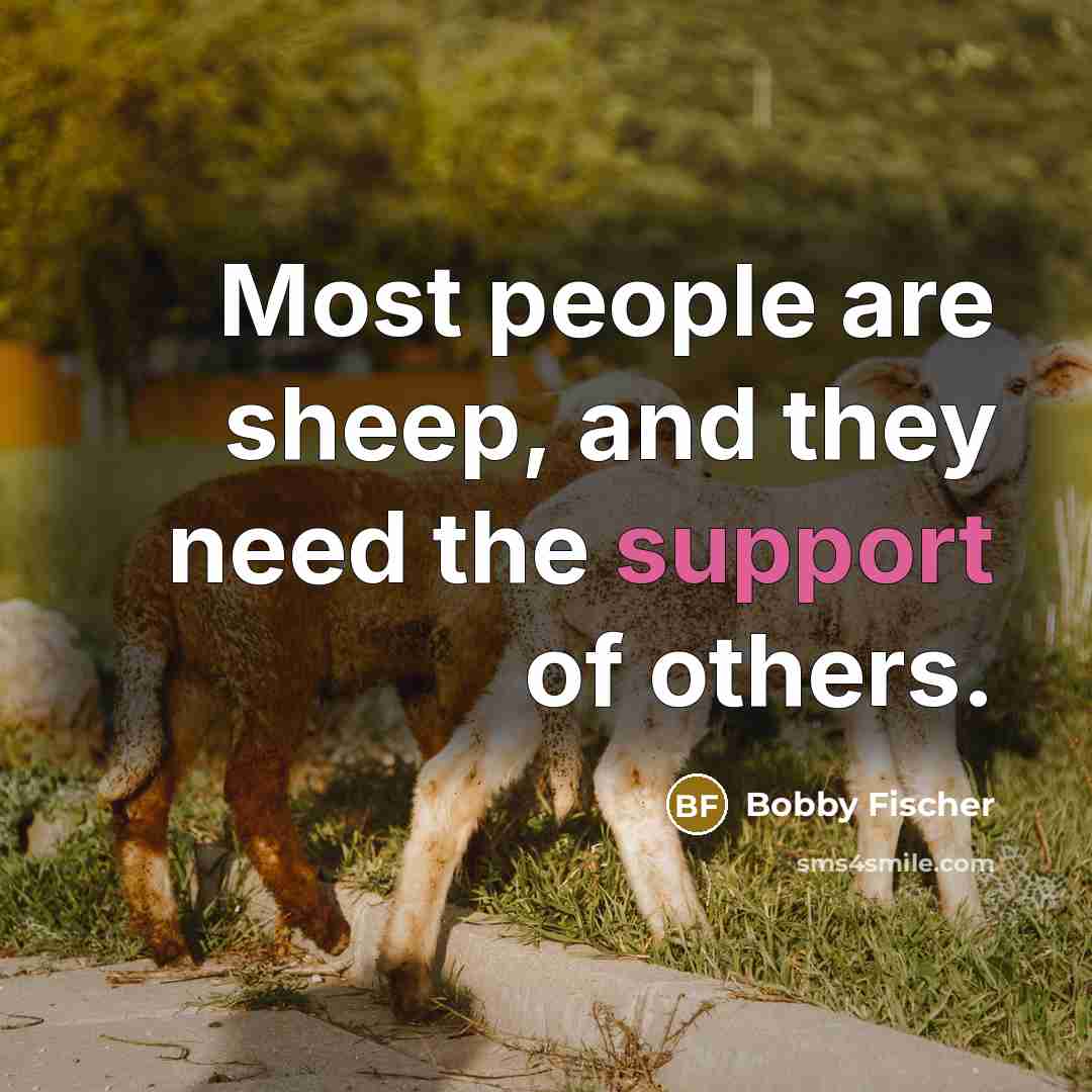 “Most people are sheep, and they need the support of…” quote by Bobby Fischer