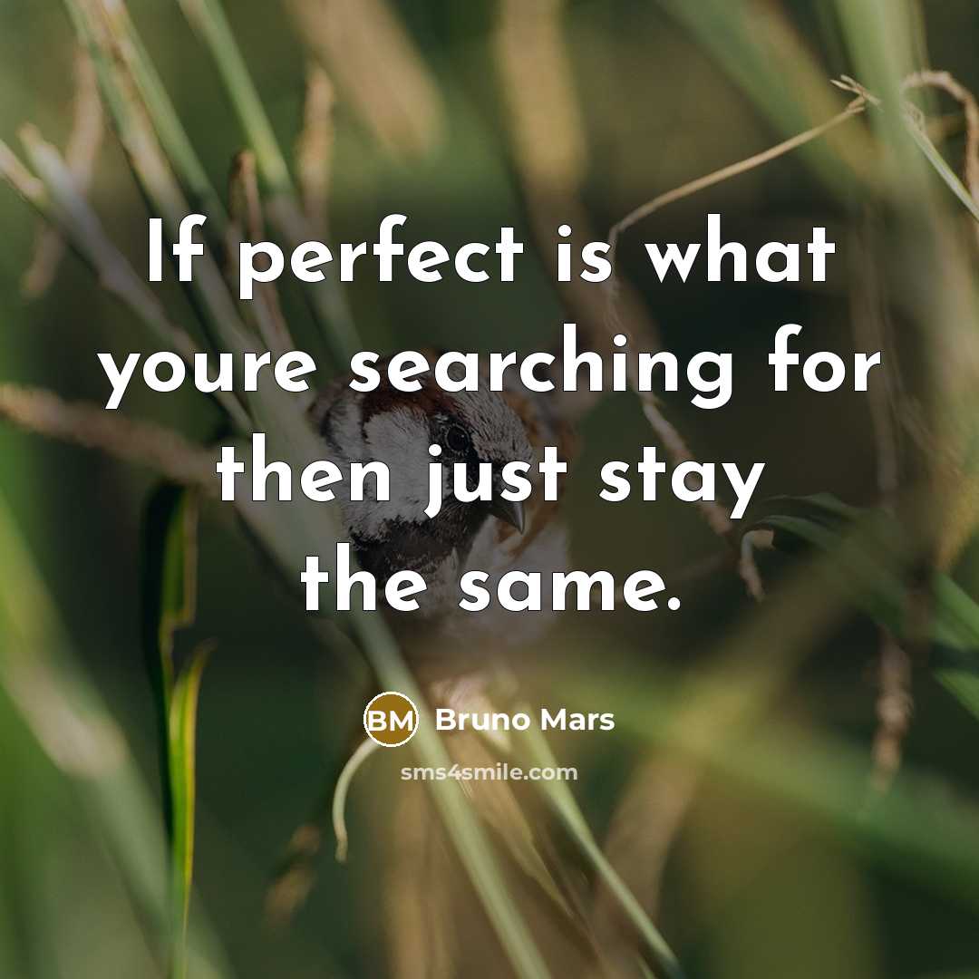 “If perfect is what youre searching for then just stay the same.” quote by Bruno Mars