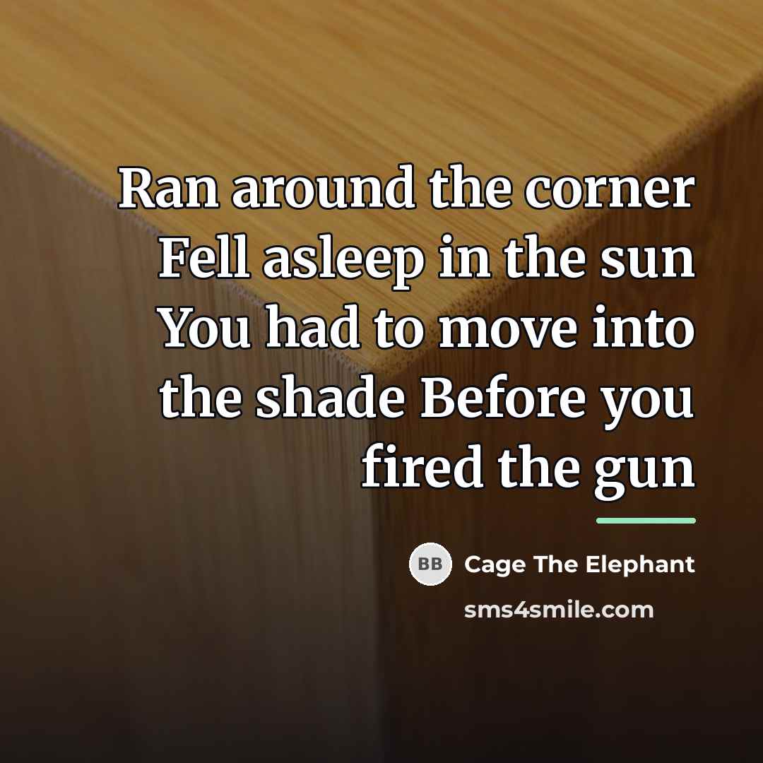 “Ran around the corner Fell asleep in the sun You…” quote by Cage The Elephant
