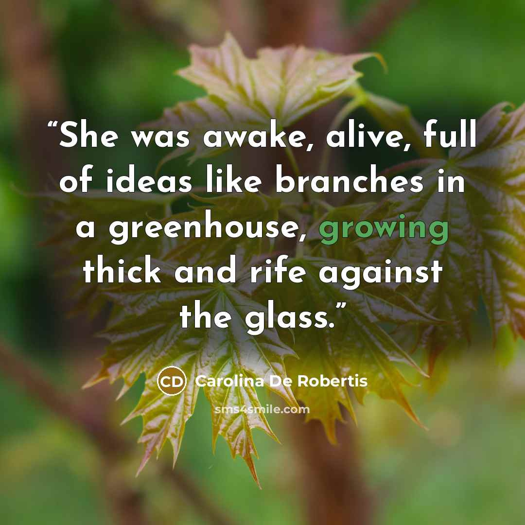 “She was awake, alive, full of ideas like branches in a greenhouse, growing thick and rife against the glass.” quote by Carolina De Robertis