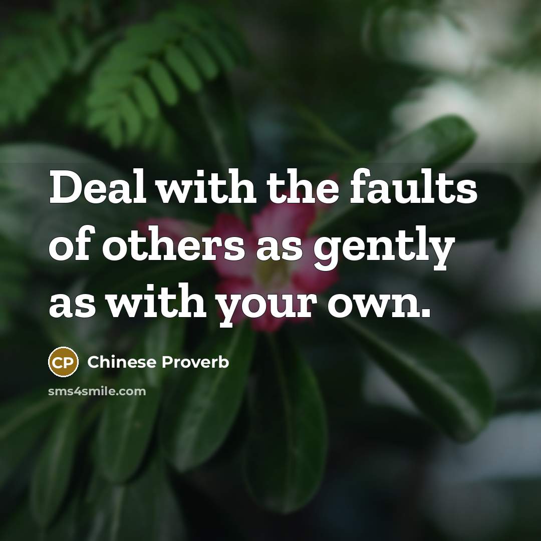 “Deal with the faults of others as gently as with…” quote by Chinese Proverb