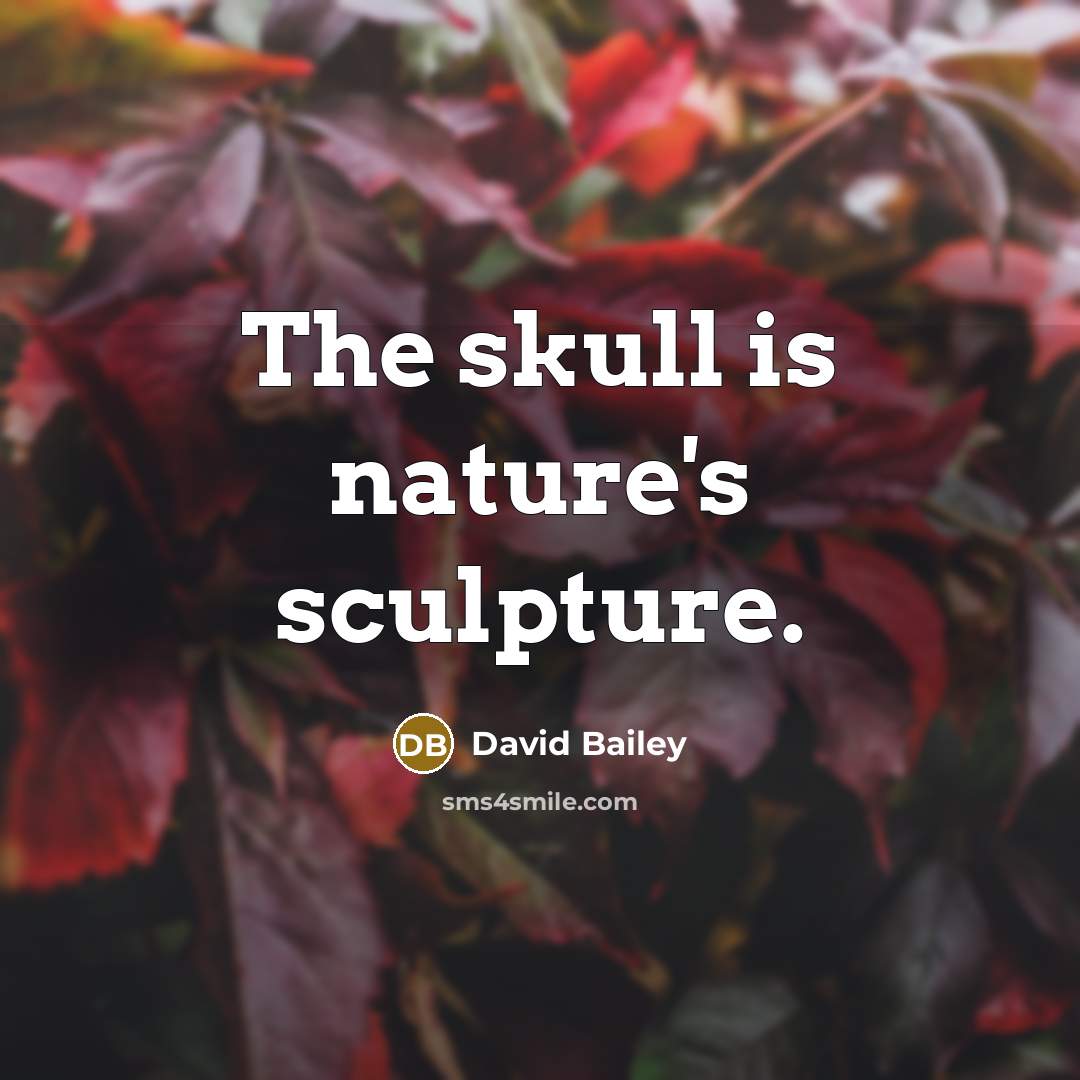 “The skull is nature's sculpture.…” quote by David Bailey