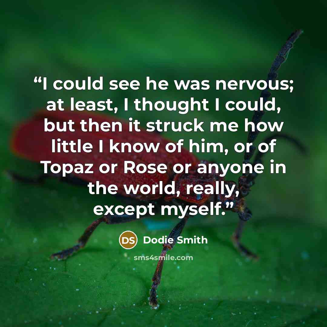 “I could see he was nervous; at least, I thought I could, but then it struck me how little I know of him, or of Topaz or Rose or anyone in the world, really, except myself.” quote by Dodie Smith