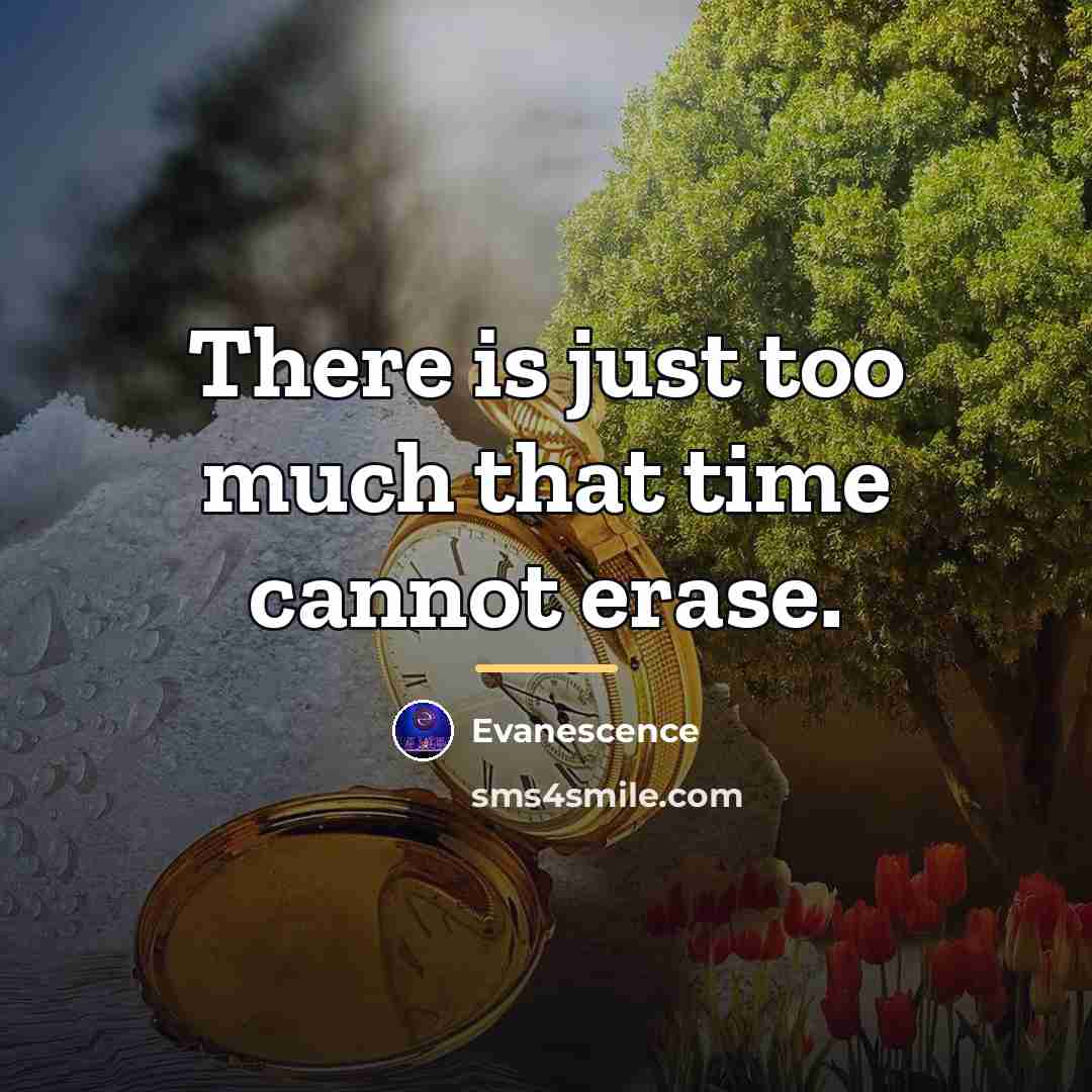 “There is just too much that time cannot erase.…” quote by Evanescence