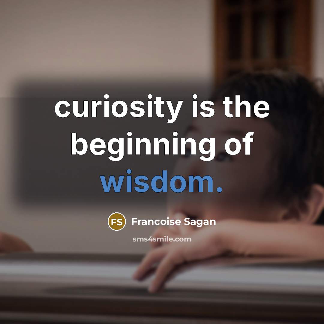 “curiosity is the beginning of wisdom.…” quote by Francoise Sagan