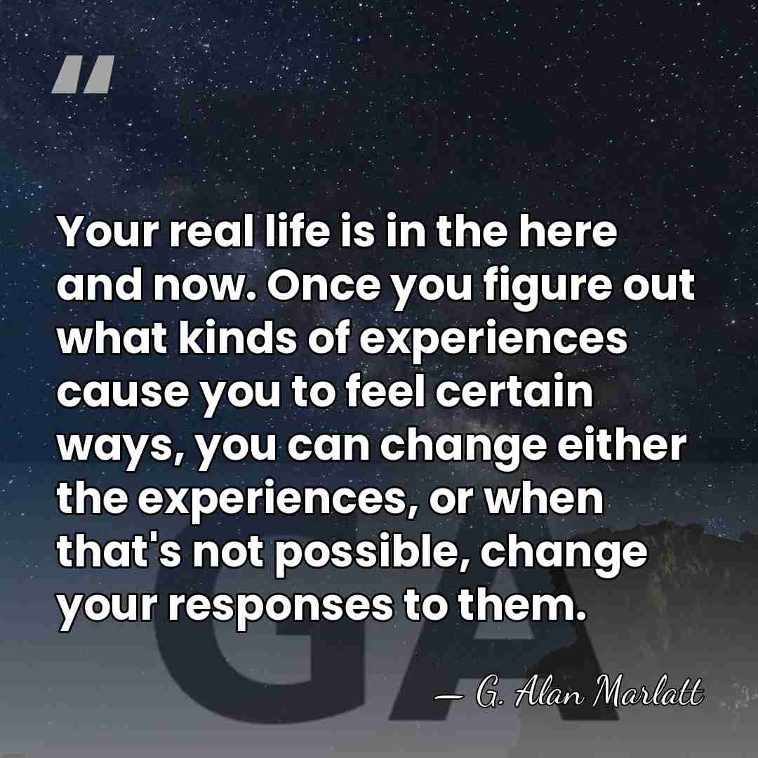Your real life is in the here and now. Once you figure&hellip; - G. Alan Marlatt