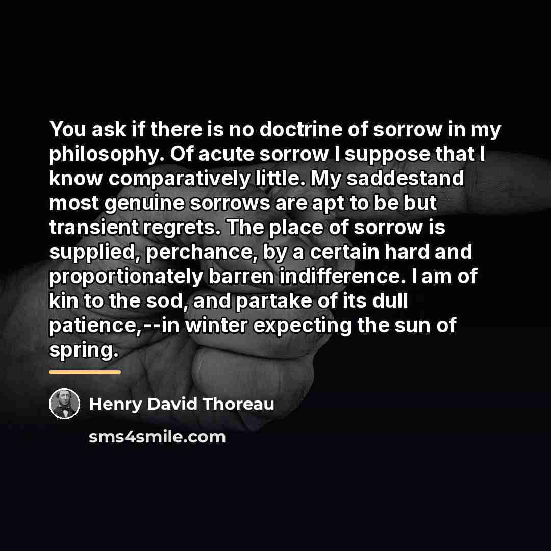 “You ask if there is no doctrine of sorrow in…” quote by Henry David Thoreau