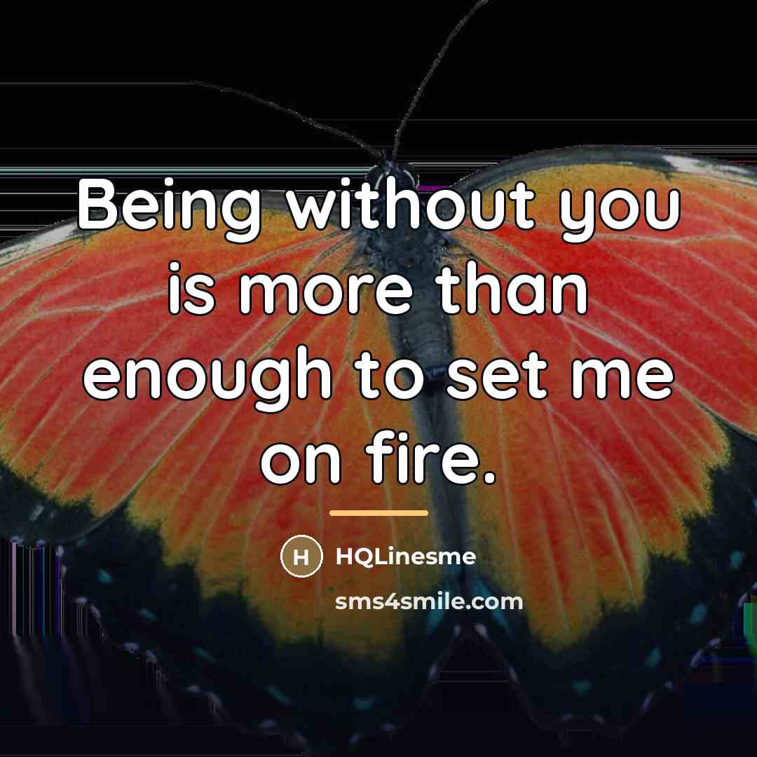 “Being without you is more than enough to set me…” quote by HQLinesme