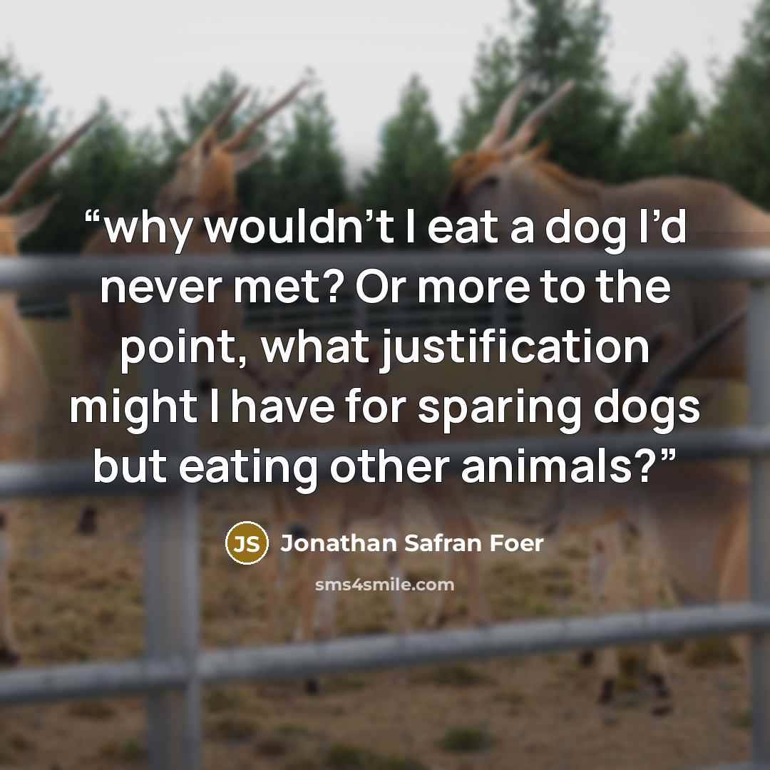 “why wouldn’t I eat a dog I’d never met? Or more to the point, what justification might I have for sparing dogs but eating other animals?” quote by Jonathan Safran Foer