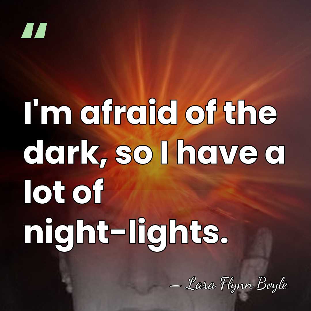I'm afraid of the dark, so I have a lot of night-lights. - Lara Flynn Boyle