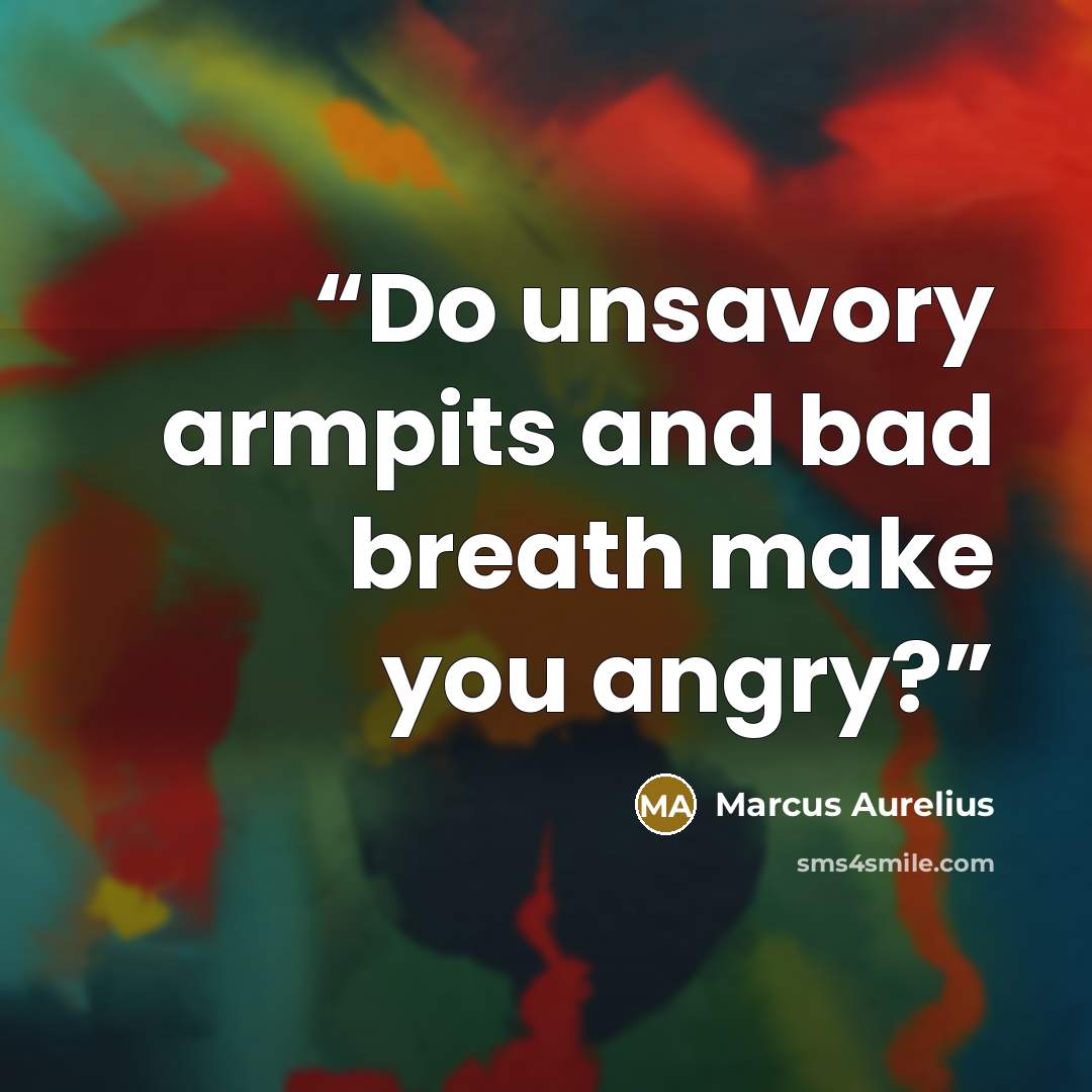 “Do unsavory armpits and bad breath make you angry?” quote by Marcus Aurelius