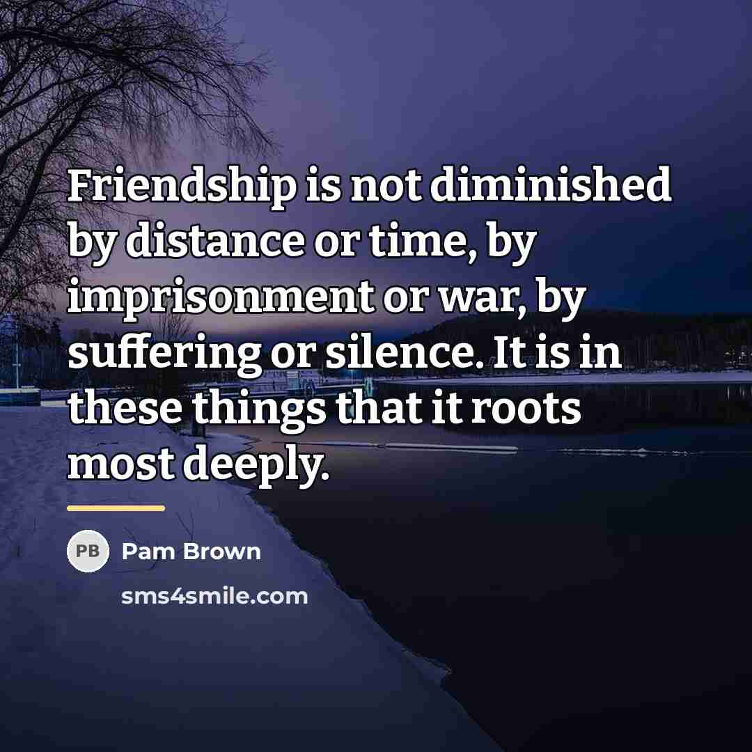 “Friendship is not diminished by distance or time, by imprisonment…” quote by Pam Brown