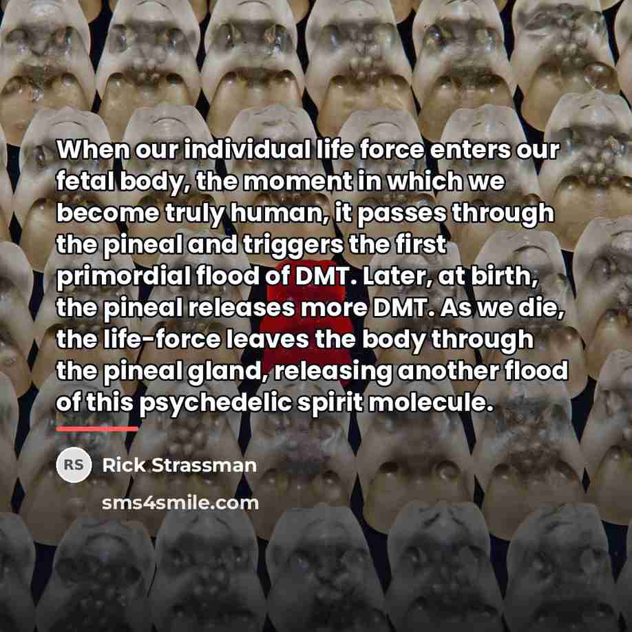 “When our individual life force enters our fetal body, the…” quote by Rick Strassman