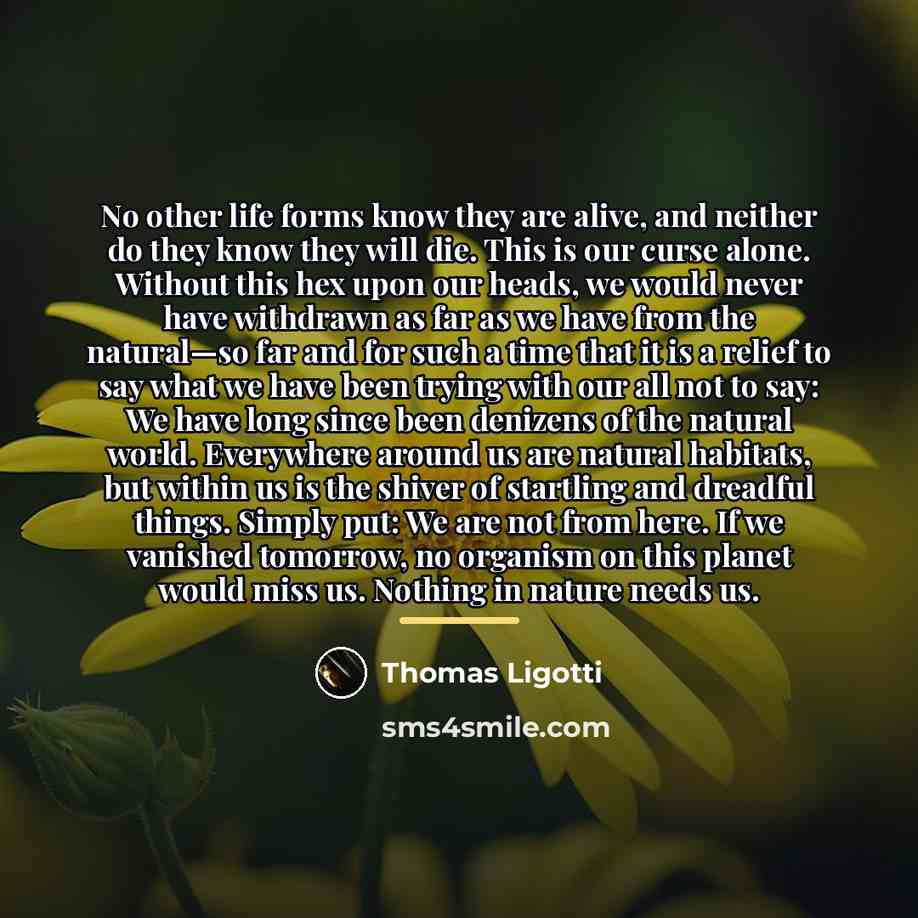 “No other life forms know they are alive, and neither…” quote by Thomas Ligotti