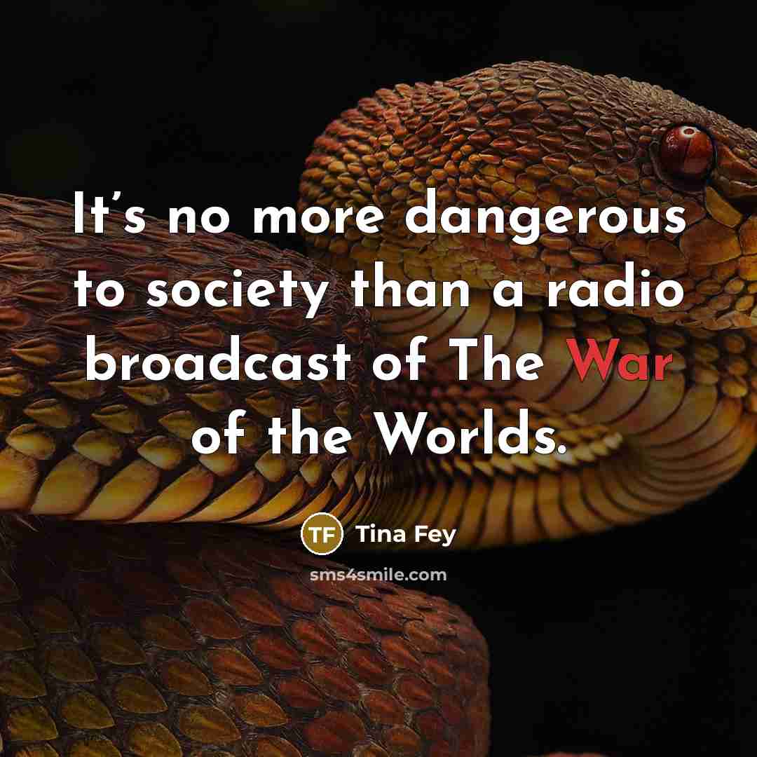 “It’s no more dangerous to society than a radio broadcast…” quote by Tina Fey