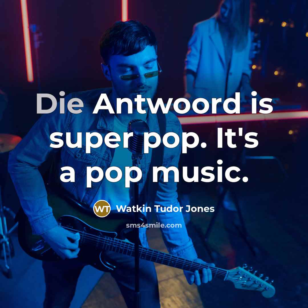 “Die Antwoord is super pop. It's a pop music.…” quote by Watkin Tudor Jones