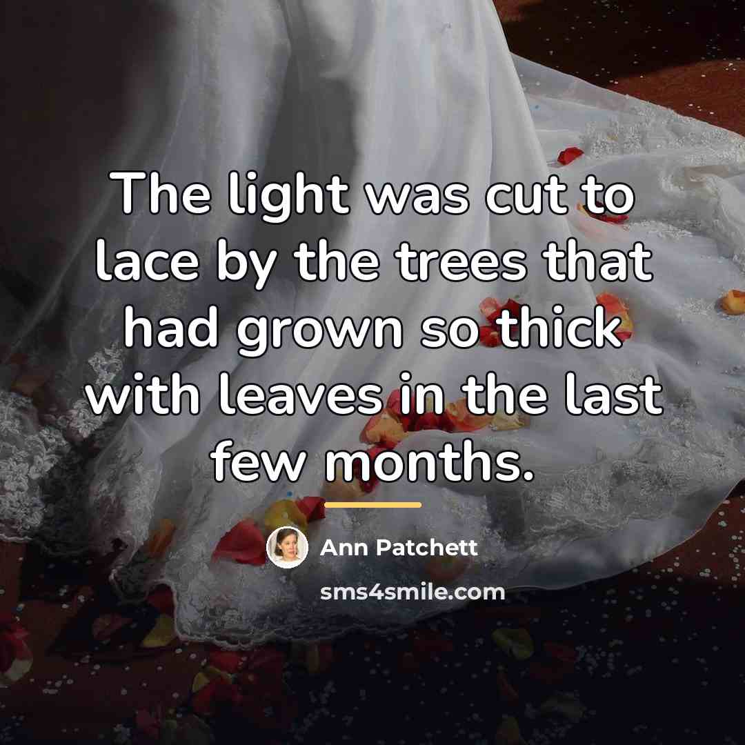 “The light was cut to lace by the trees that…” quote by Ann Patchett
