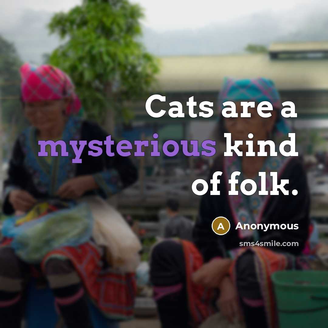 “Cats are a mysterious kind of folk.…” quote by Anonymous