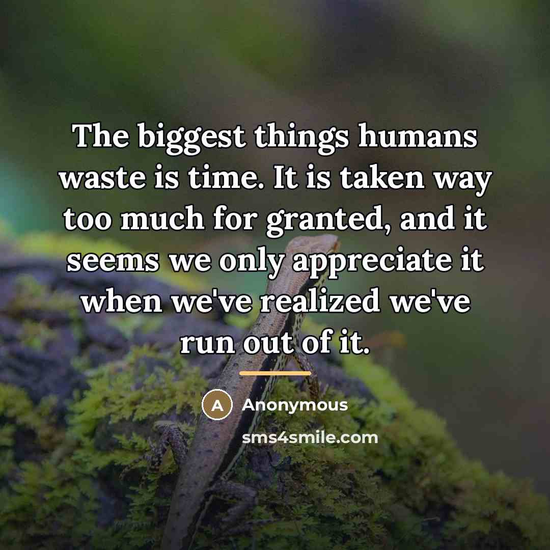 “The biggest things humans waste is time. It is taken…” quote by Anonymous