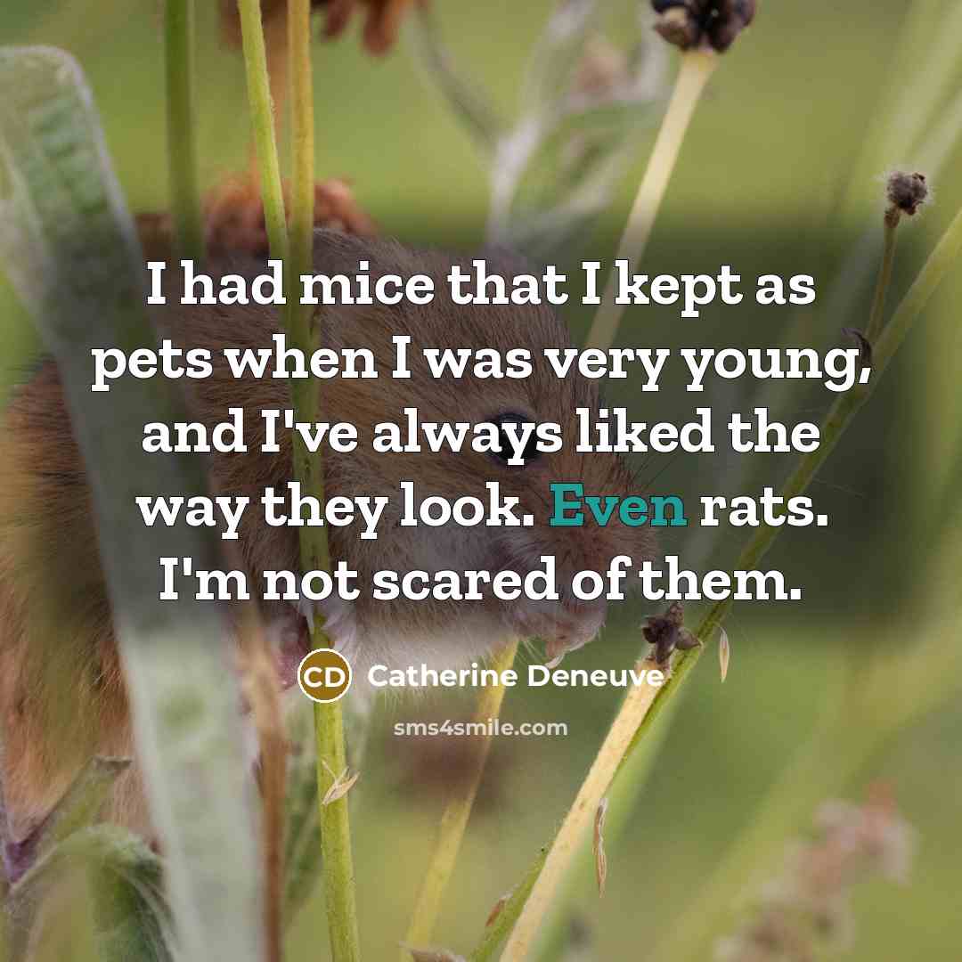 “I had mice that I kept as pets when I…” quote by Catherine Deneuve