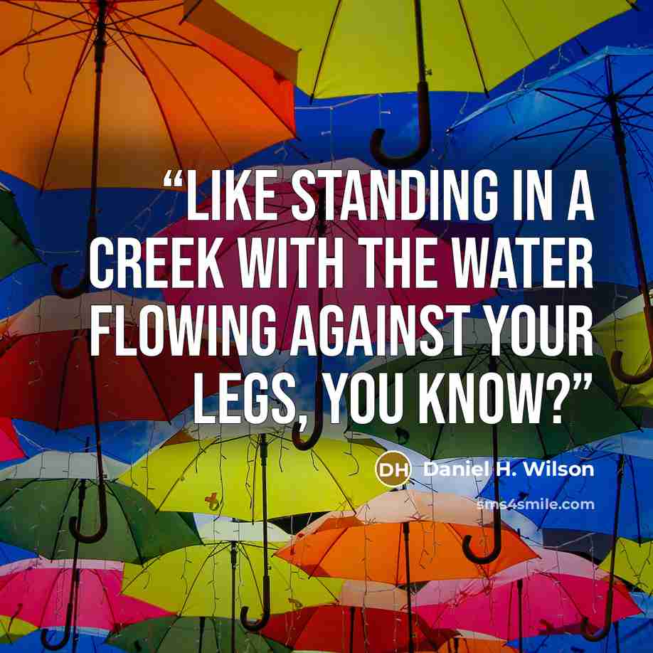 “Like standing in a creek with the water flowing against your legs, you know?” quote by Daniel H. Wilson