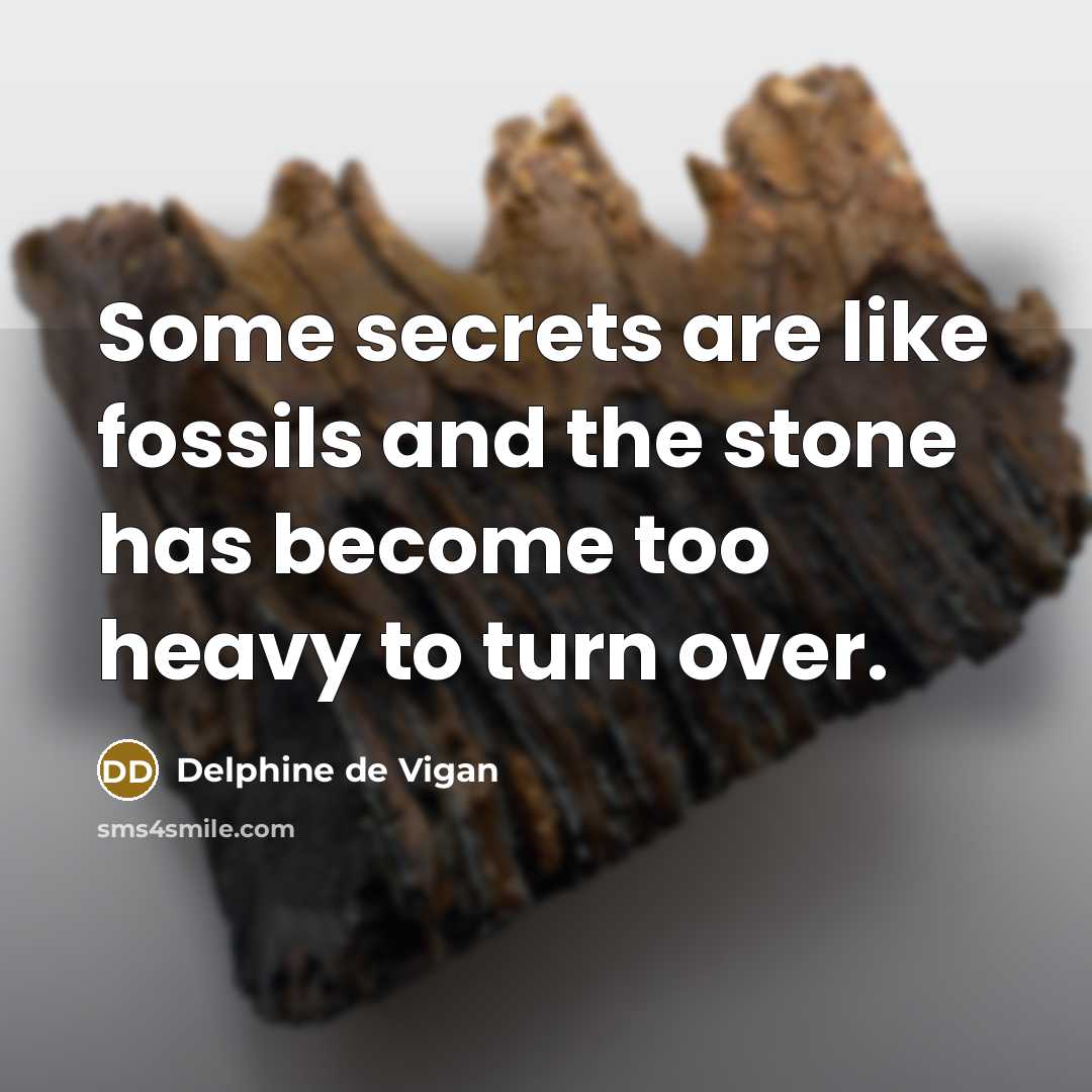 “Some secrets are like fossils and the stone has become…” quote by Delphine de Vigan